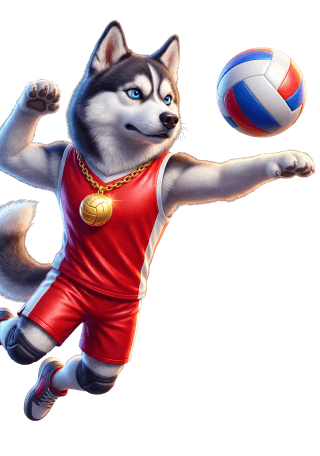 Volleyball