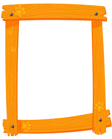 frame