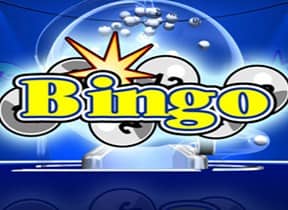 Bingo