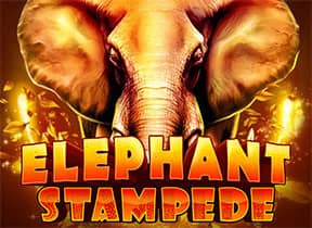 Elephant Stampede