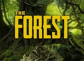 In The Forest
